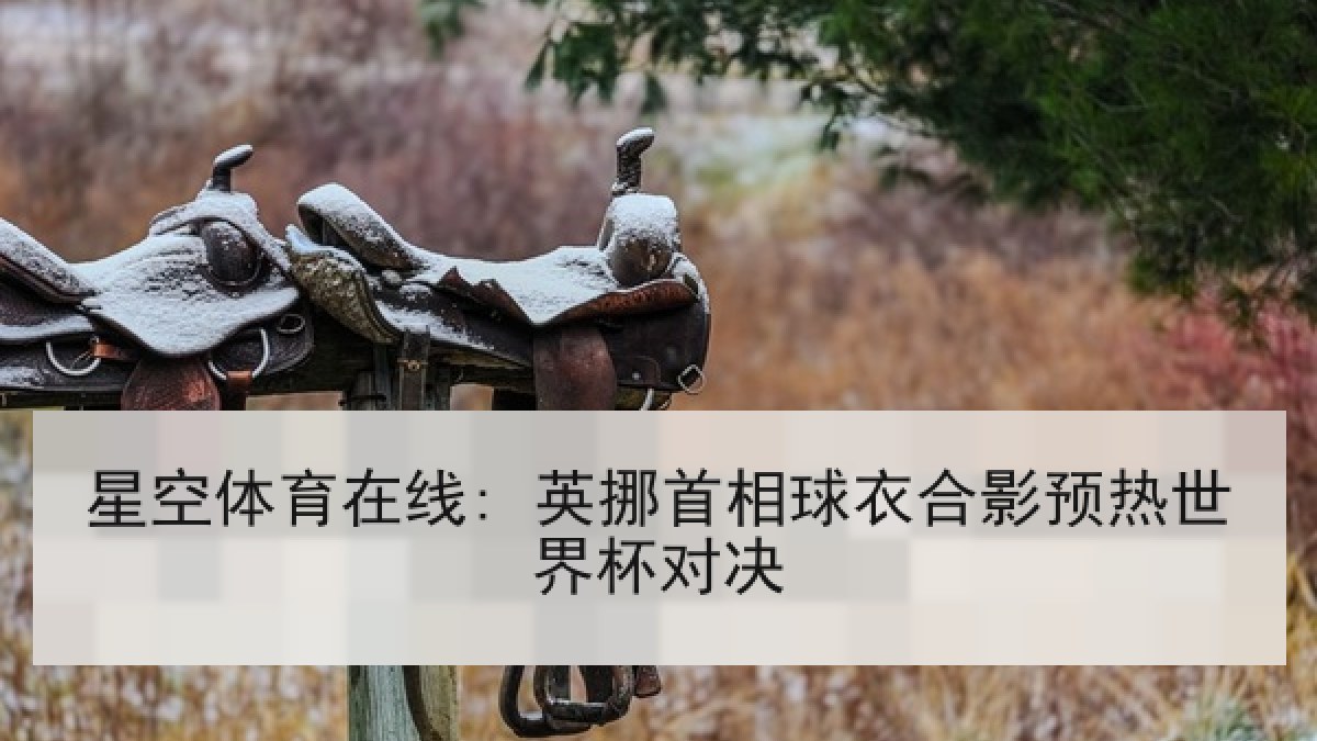 星空体育在线: 英挪首相球衣合影预热世界杯对决