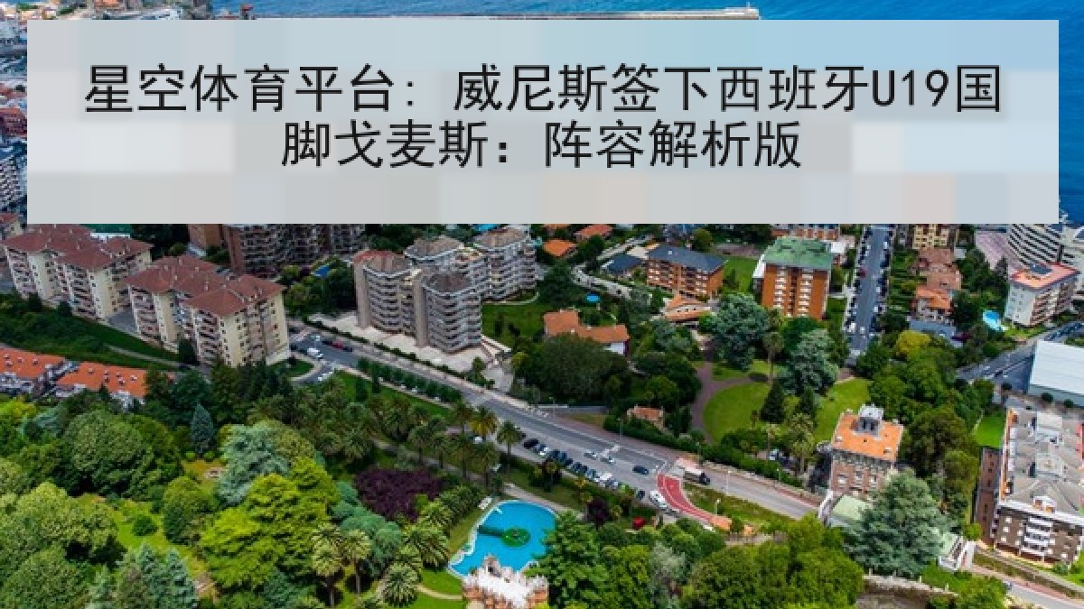 星空体育平台: 威尼斯签下西班牙U19国脚戈麦斯：阵容解析版