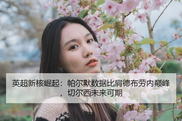 ying-chao-xin-he-jue-qi-pa-er-mo-shu-ju-bi-jian-de-bu-lao-nei-dian-feng-qie-er-xi-wei-lai-ke-qi-2-987.jpg