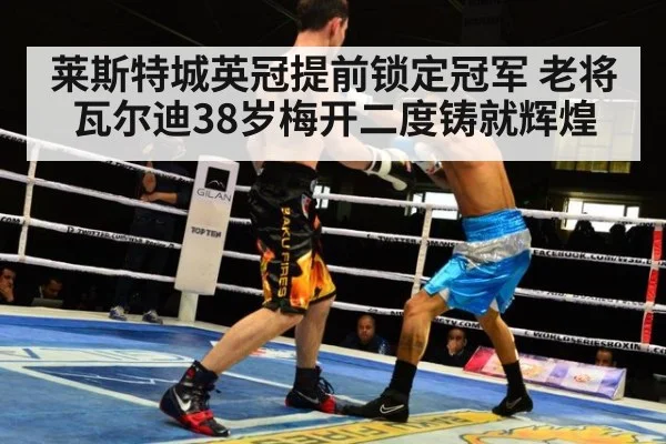 莱斯特城英冠提前锁定冠军 老将瓦尔迪38岁梅开二度铸就辉煌
