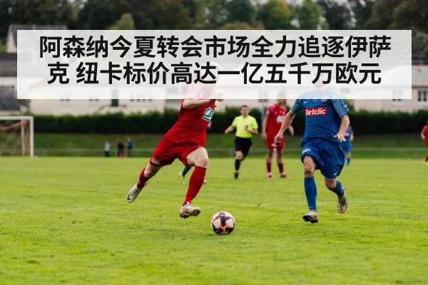 阿森纳今夏转会市场全力追逐伊萨克 纽卡标价高达一亿五千万欧元