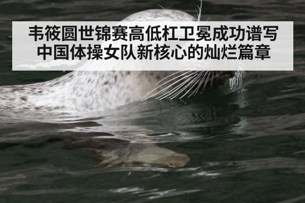 韦筱圆世锦赛高低杠卫冕成功谱写中国体操女队新核心的灿烂篇章