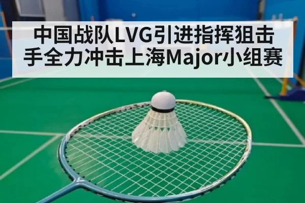 中国战队LVG引进指挥狙击手全力冲击上海Major小组赛