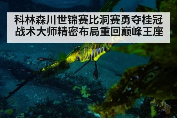 科林森川世锦赛比洞赛勇夺桂冠 战术大师精密布局重回巅峰王座